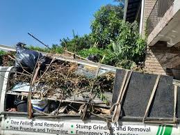 Best Furniture Removal  in Lealman, FL